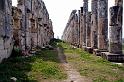 12 Apamea